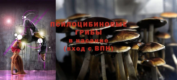 ГАЛЛЮЦИНОГЕННЫЕ ГРИБЫ Богородск