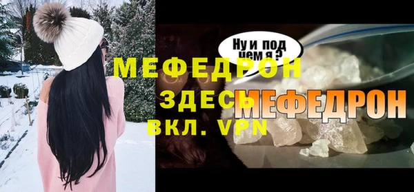 молекула духа Богородицк