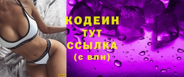 молекула духа Богородицк