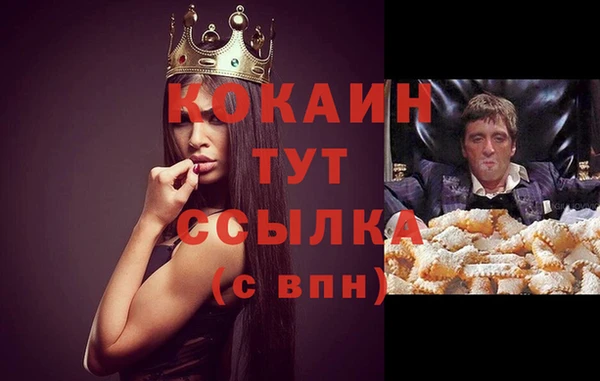 молекула духа Богородицк