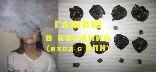 молекула духа Богородицк