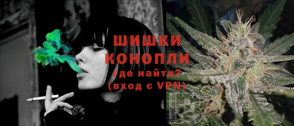 ГАЛЛЮЦИНОГЕННЫЕ ГРИБЫ Богородск